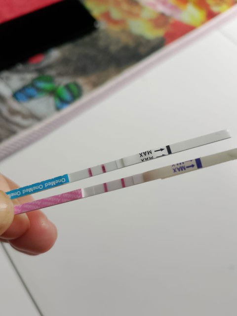 Bun knpah hasil tes aku positif seperti d gambar tapi pas d periksa ke bidan katanya blm ada kantung