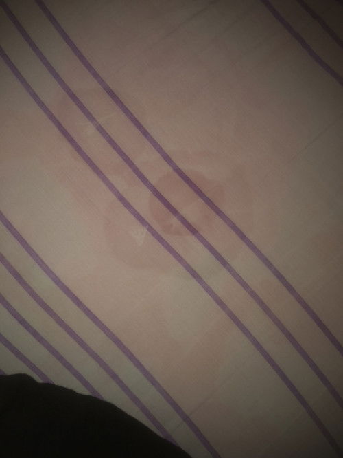 24สัปดา 1วัน