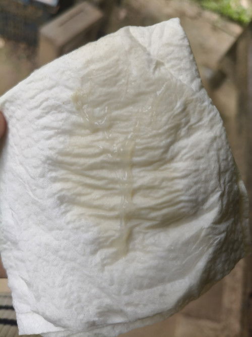 ขอสอบถามหน่อยค่ะ