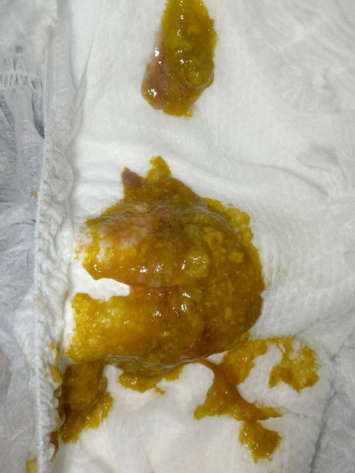 1st time mom of 4 months old .