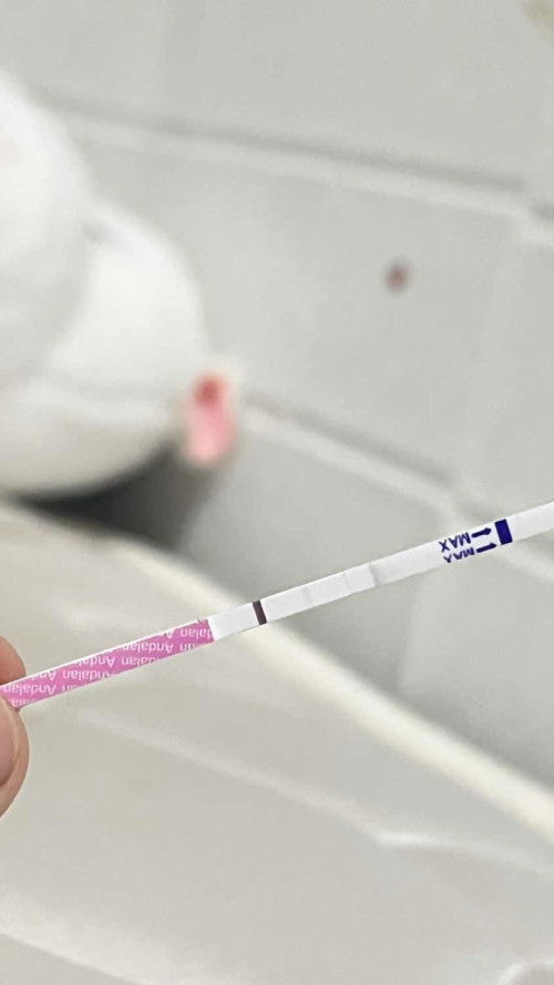 Testpack kehamilan andalan