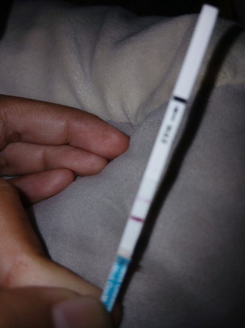 Maaf bunda bunda apakah ini sudah fix hamil atau belum ya ?