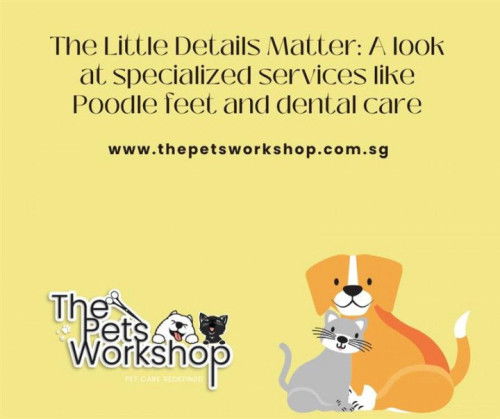 The Little Details Matter: A look at specialized services like Poodle feet and dental care-The Pets