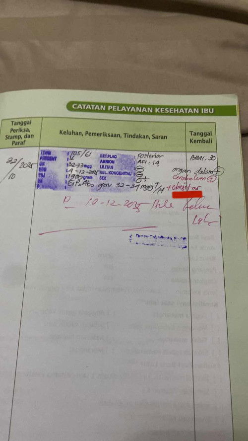 tulisan obesitas dibuku KIA pink