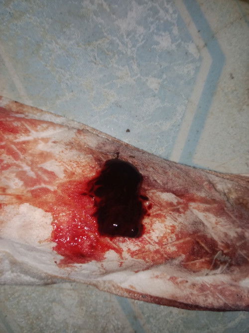 ขออนุญาตถามนะค่ะ