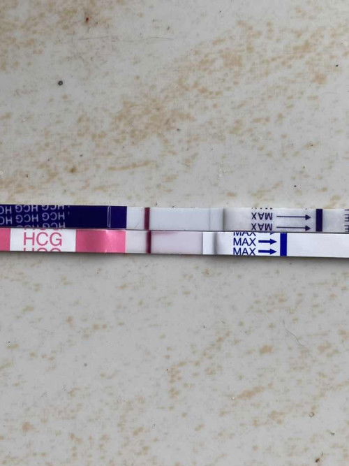 อยากมีตัวเล็ก