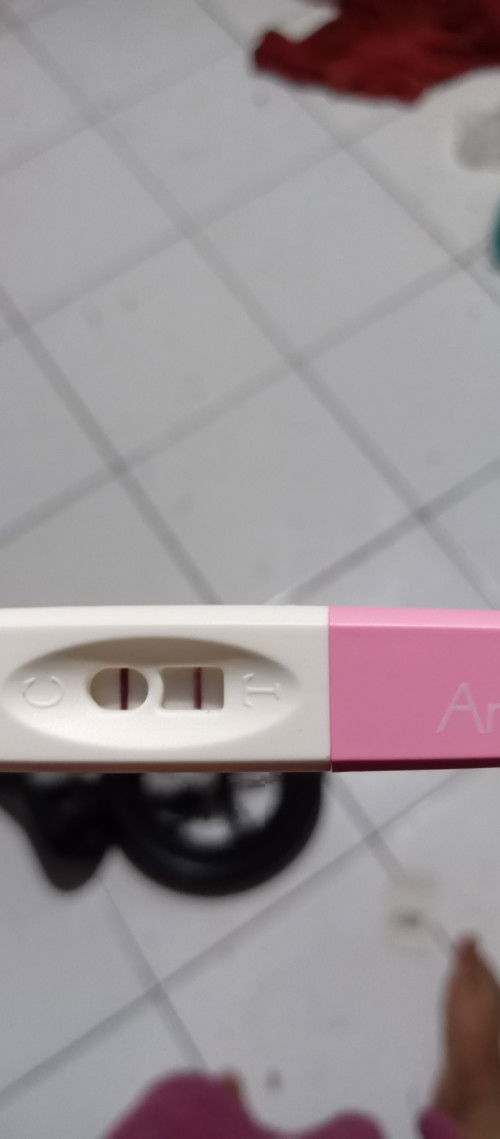 Hpht 24 september 2025