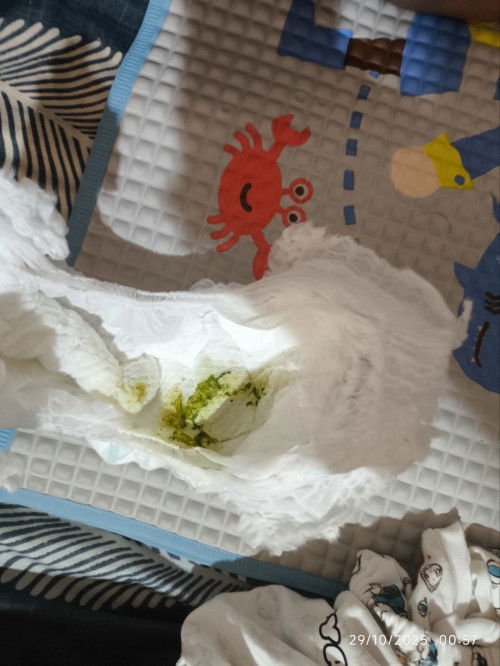 Pup bayi usia 2 1/2 bulan warna hijau