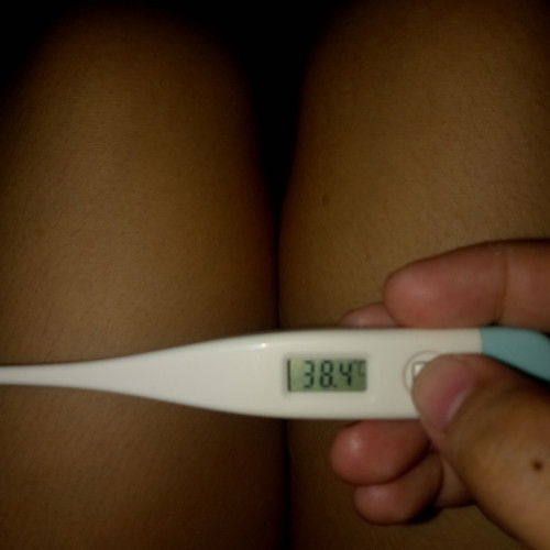 fever while in 3rd trimester.