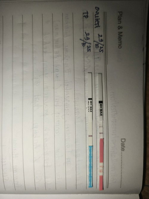 Bakal panen ga ya bun?