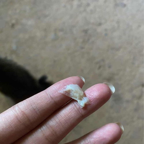 อันนี้ตกขาวใช่ไหมคะ