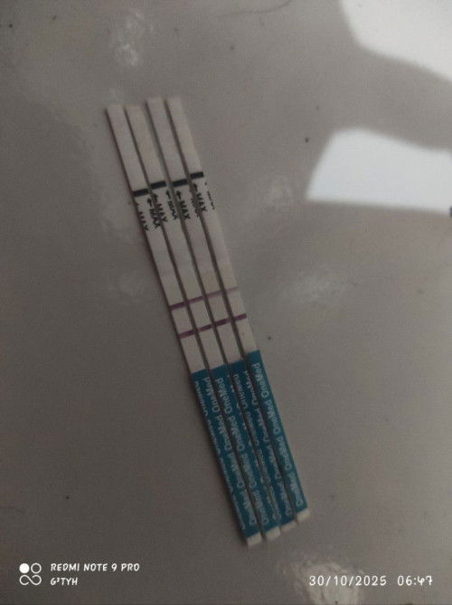 Maa syaa Allah .. di testpack makin hari makin tebal, hpht 26september 2025