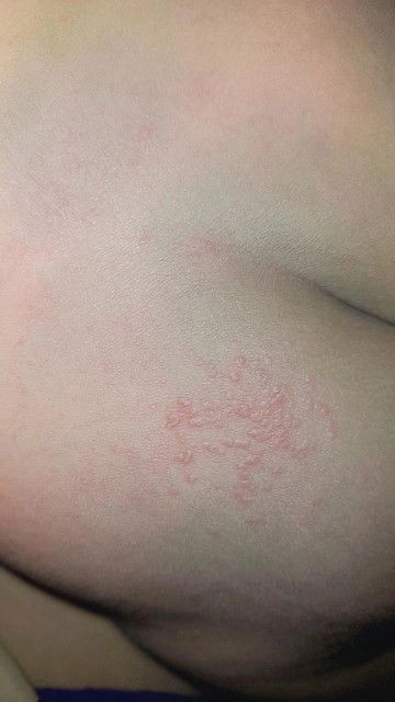 Bunda mau tanya tolong jwab dongg