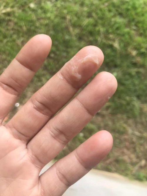 ขอสอบถามหน่อยค่ะ