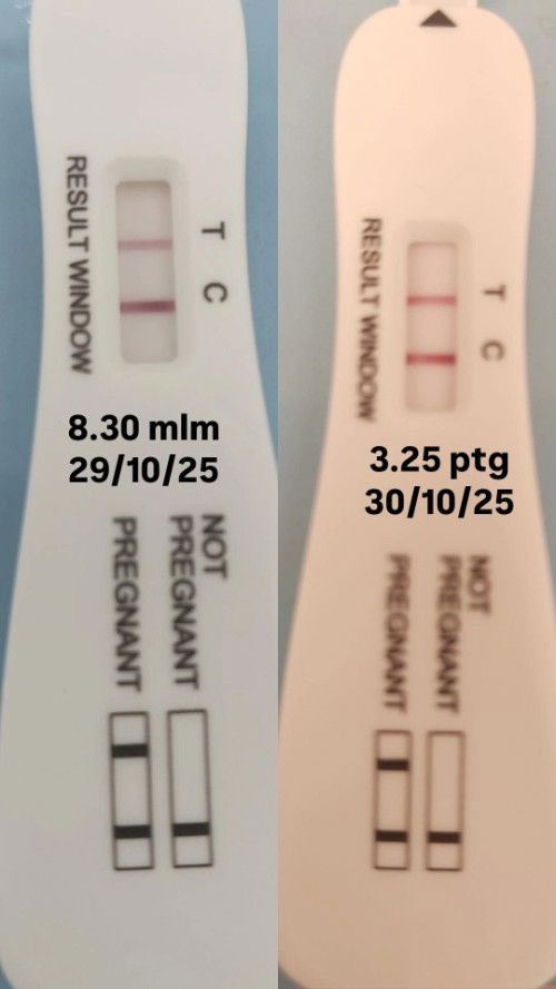 Nak tanya,Kalau kt tracker  sepatutnya 6W. Tapi....