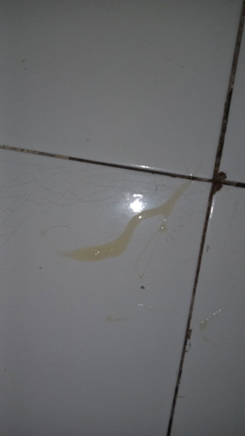 Bagi pengalaman nya bund