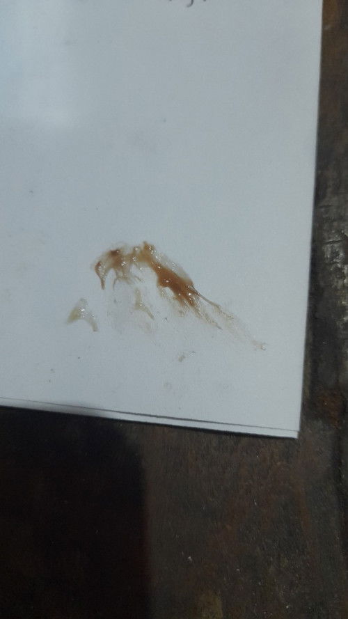 Hamil 6 minggu keluar lendir coklat sprti wktu selesai haid,
Ada yang punya pengalaman serupa?