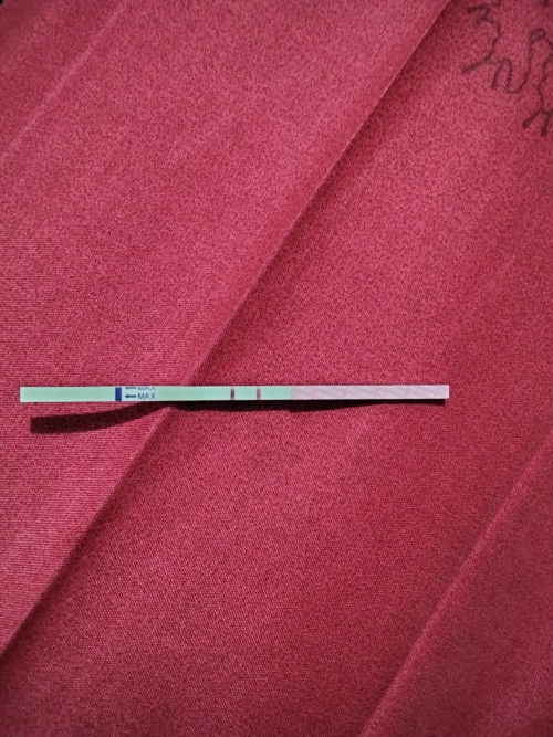 sy nikah tgl 3 okt 2025
sblm itu sy dtng haid tgl 230925 dn smpai skrg sy ga haid ditespac gris dua