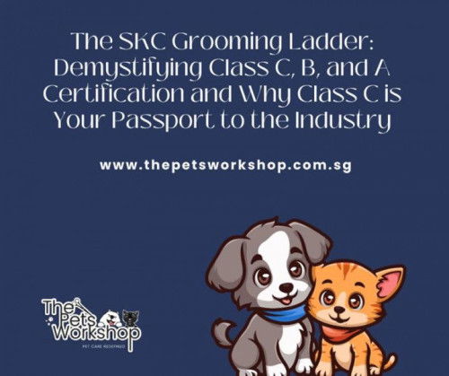 The SKC Grooming Ladder: Demystifying Class C, B, and A Certification and Why Class C is Your Passpo