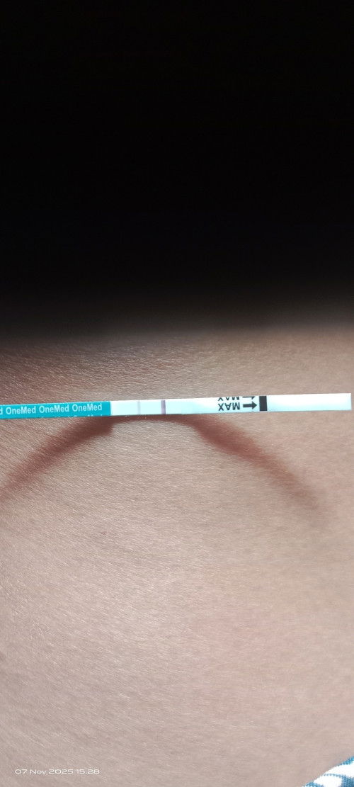 Kehamilan pertamanya