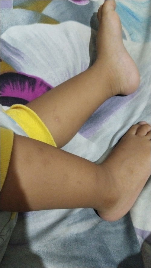 Rekomendasi susu bayi