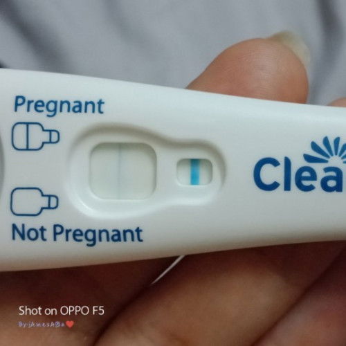 Sya cek upt naik samar2