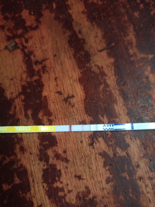 Tespek telat 1 hari dan garis 2 samar