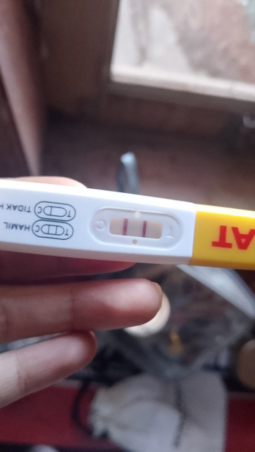 Ada yang sama gk bund