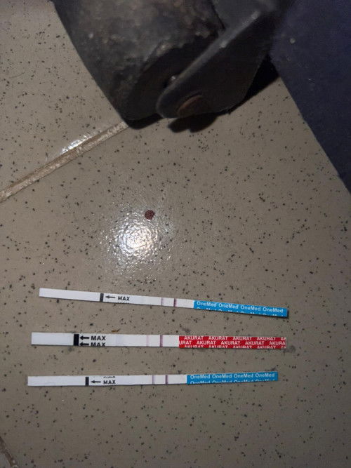 Apakah ini sudah positif? Baru telat 1 hari