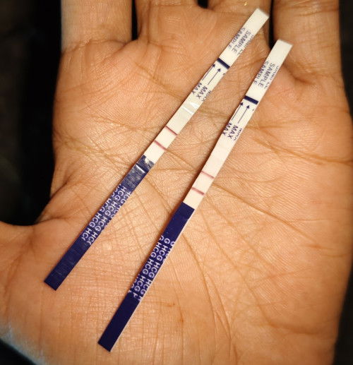 การตั้งครรภ์