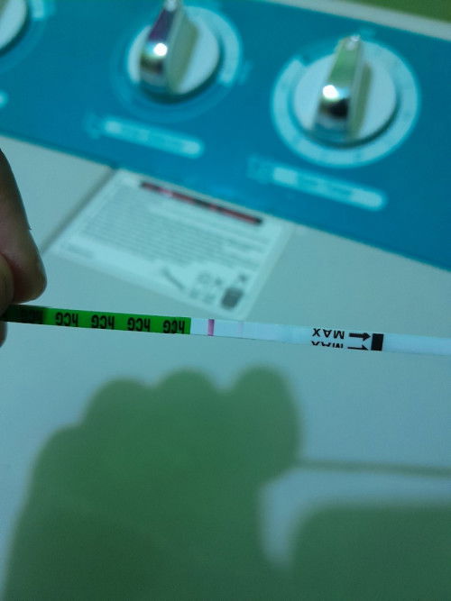 Hamil sebelum masuk jadwal telat haid