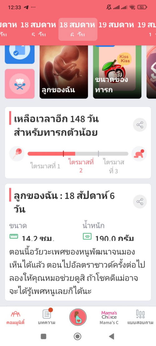 อัลตร้าซาวด์ดูเพศลูก