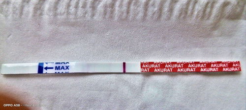 Testpack ini samar kah?