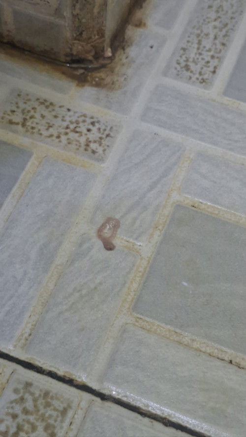 Ada sesuatu yang keluar