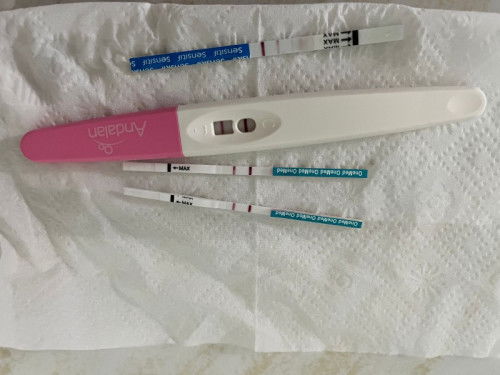 Hpht 24 September 2025. Udah usg tp blm terlihat kantong janinnya bun.. galau bun🥲