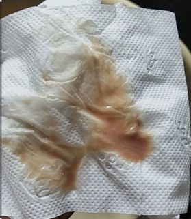 Anong ibig sabihin nyan?