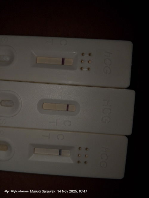 Sya sdah 3 bulan xpriod. Bila test upt mcam ni. Hamil ke tidak ya hm.