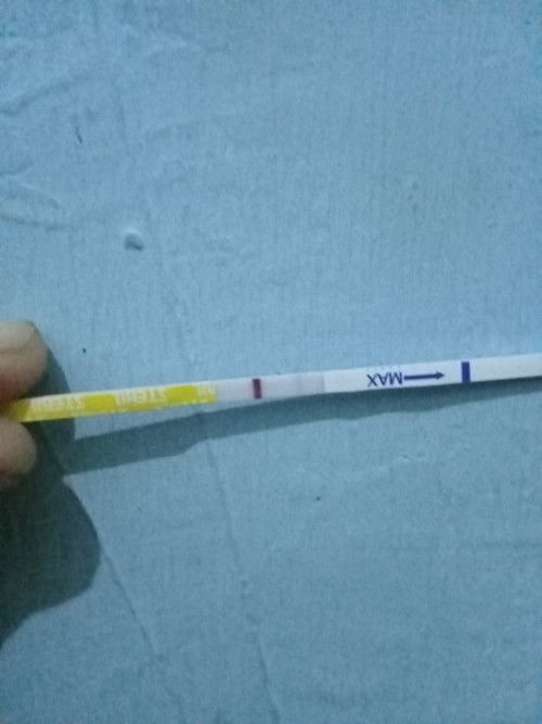 tespack 2 garis samar