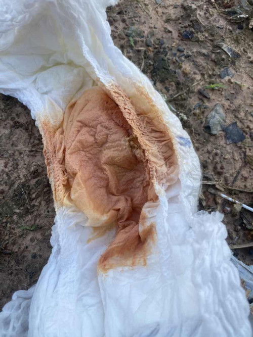 น้อง1ขวบอึ้สีแบบบนี้เป็นไรไหมคะ