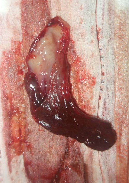 สอบถามแม่ๆค่ะ