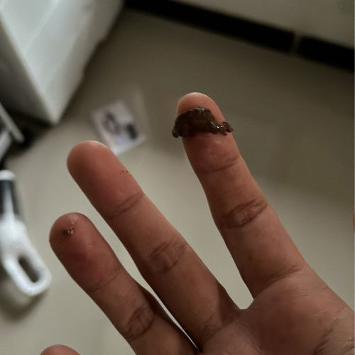 Keluar mucus plug ke persalinan berapa lama?