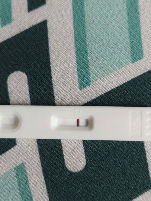 Pregnancy Test