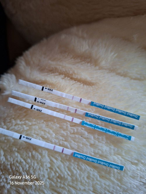 Bun saya blm telat haid
Haid awal kemarin tgl 23 oktober
Tpi saya coba tespek garis 2 apakah positv?