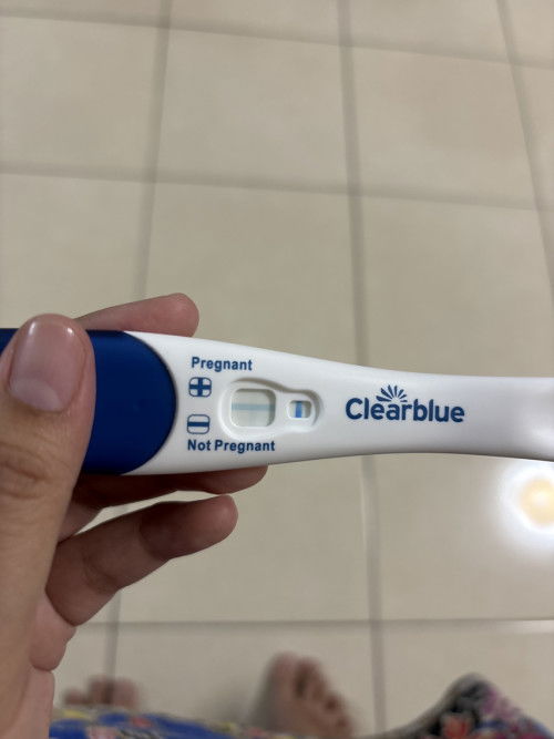 Pregnancy test