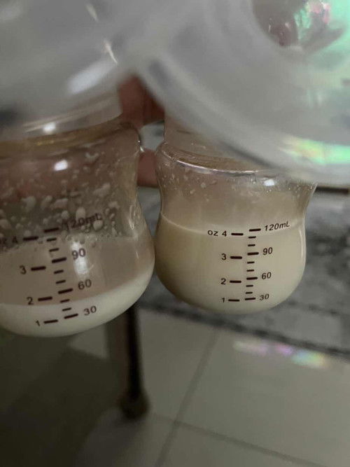 Banyakkan susu badan