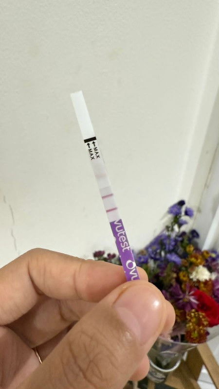 Ada yang pernah coba ovutest?