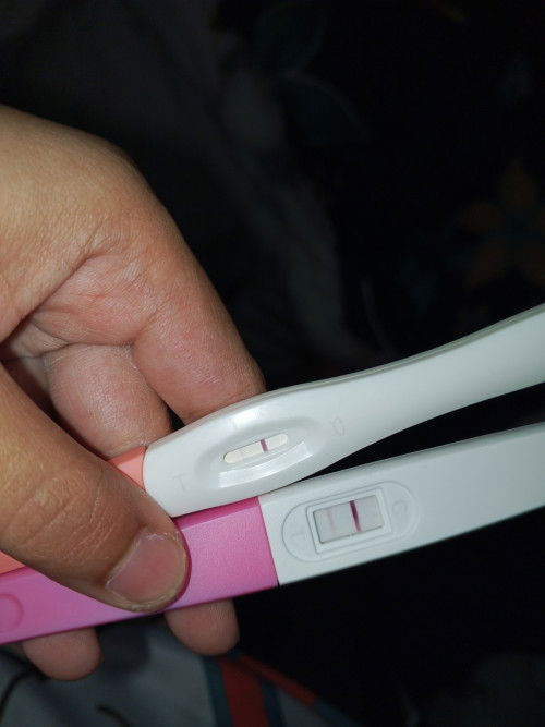 Ni kira pregnant lah kan? Sbb period tk dtg 10 hri dahhh ,mual2 belum ada lagi