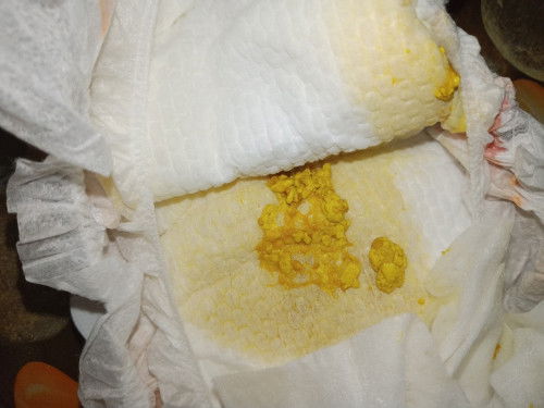 Assalamualaikum sy nk tnye