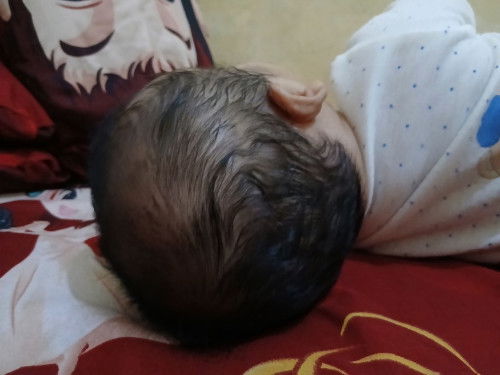 Pala peyang  3 bulan