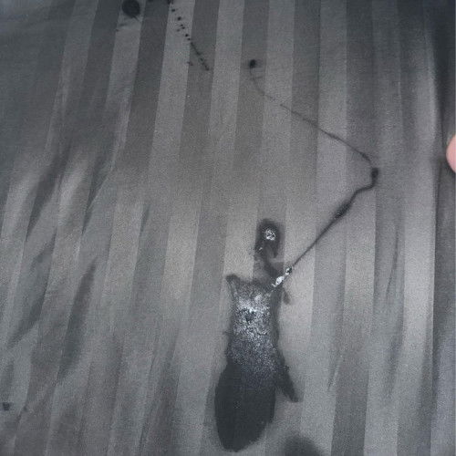 ขออนุญาตค่ะะะะะะะ